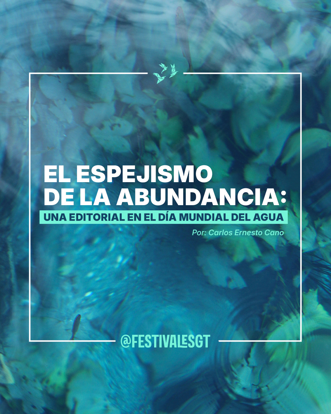 El espejismo de la abundancia: una editorial en el Día Mundial del Agua